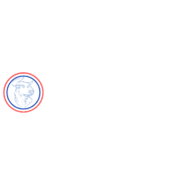 Bulls Capital Markets logo